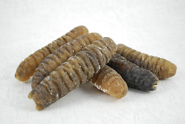 angle view sea cucumber on a plate at horizontal composition
