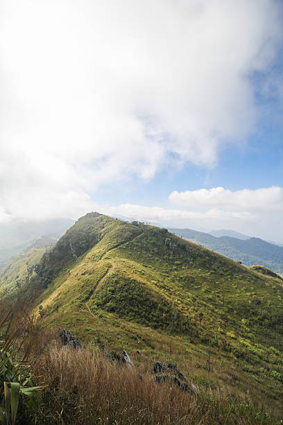 istock Doi Pha Tang, Chiang Rai Thailand 506445198