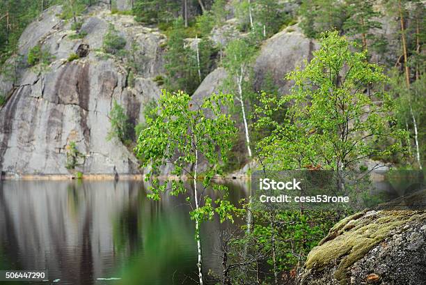 Saimaa Lake In Finland Stock Photo - Download Image Now - Autumn, Blue, Bog