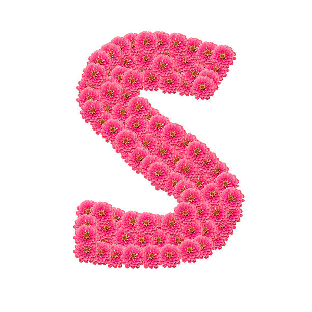 istock Zinnias flower letter 506465315