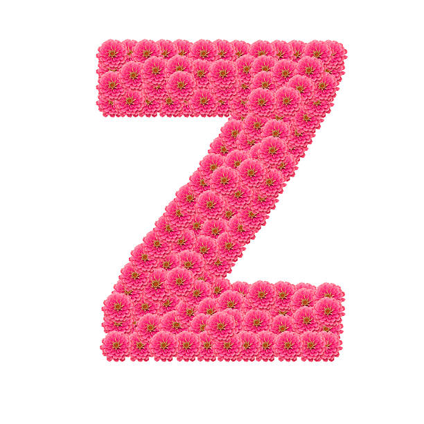 istock Zinnias flower letter 506465327