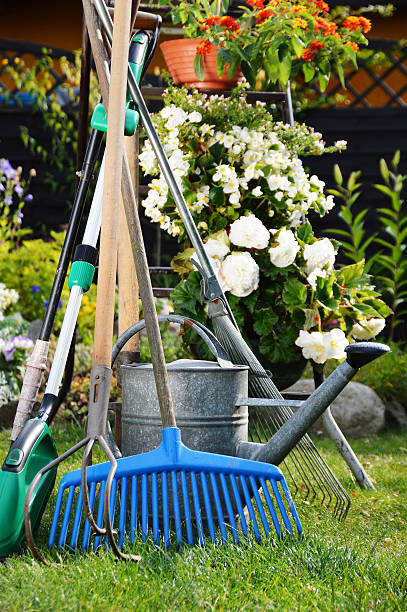 istock Watering can and tools in the garden 506467325