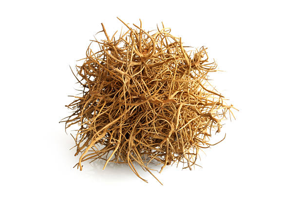 tumbleweed - dry brush photos et images de collection