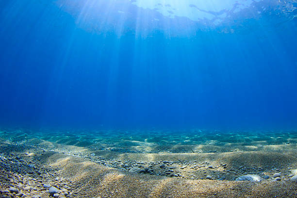 fondo submarino en el mar - lecho del mar fotografías e imágenes de stock