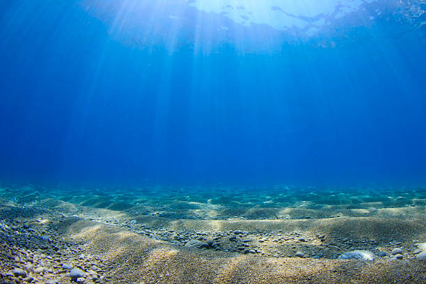 Underwater background in sea Blue water, sandy bottom and sunbeams in ocean shallow stock pictures, royalty-free photos & images