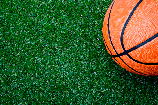 basketball ball on green grass
