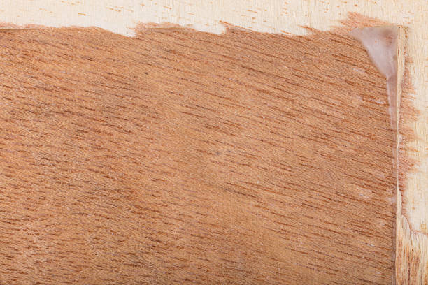 istock wood texture background close up shot 506469114