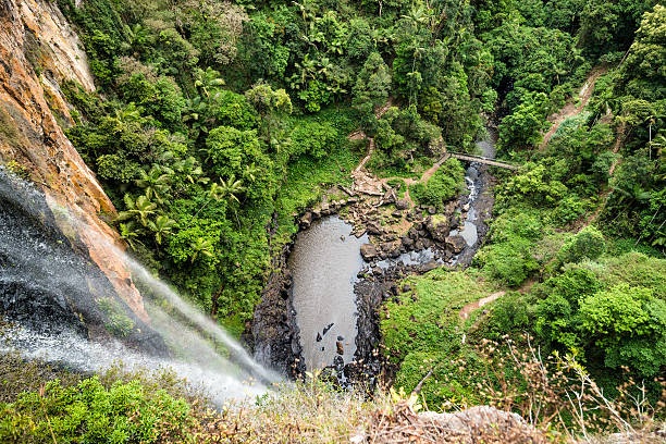 водопад в тропический лес - tropical rainforest waterfall rainforest australia стоковые фото и изображения