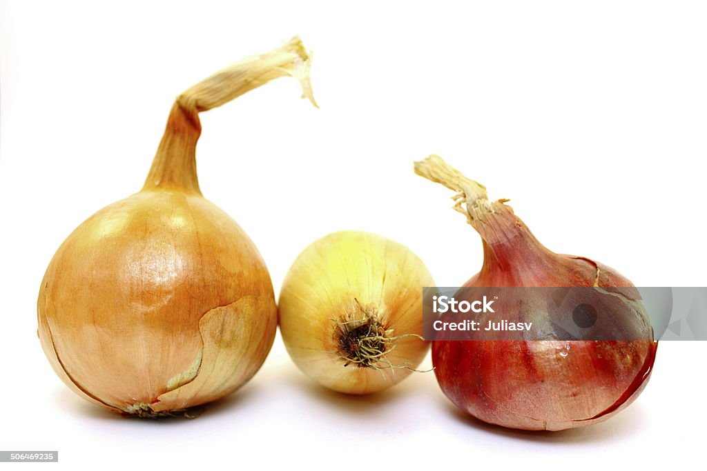 Beautiful onion on a white background Beautiful onion on a white background close-up Agriculture Stock Photo