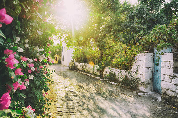 Alacati is a beautiful and small Aegean town on the western coast of Izmir Province in Turkey, which has been famous for its streets, architecture, vineyards and windmills for over 150 years.