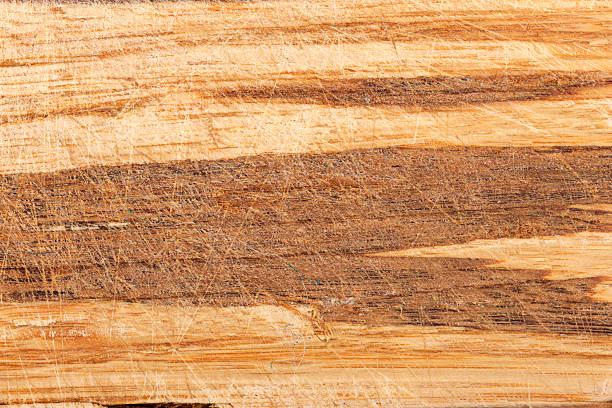 istock wood texture background close up shot 506471504