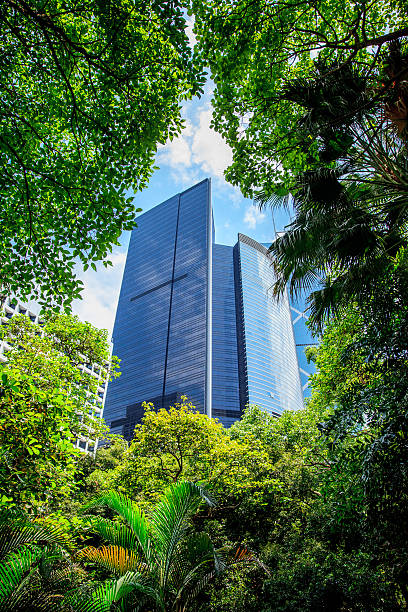 istock Business building surrounded by tropical vegetation 506472283