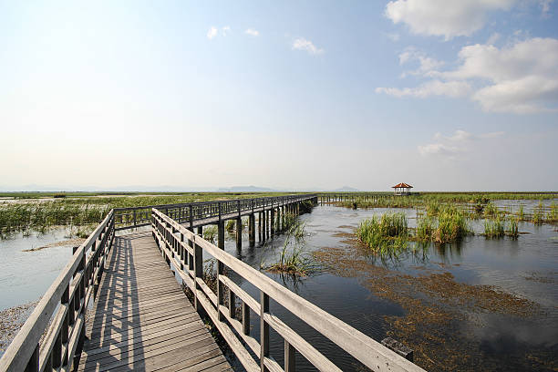 istock Mountain view from Wooden Bridge at Khao sam roi yod 506473852