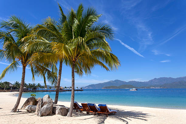 istock Vietnam Hon Tre. 506475024