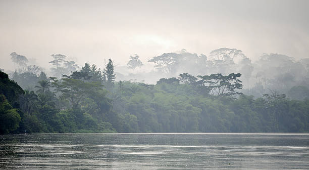 Sangha River. Sangha River. Morning fog on the African river Sangha. Congo. Africa cameroon stock pictures, royalty-free photos & images