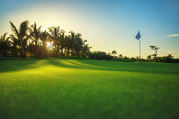 golfplatz in der umgebung  - golf golf flag sunset flag stock-fotos und bilder