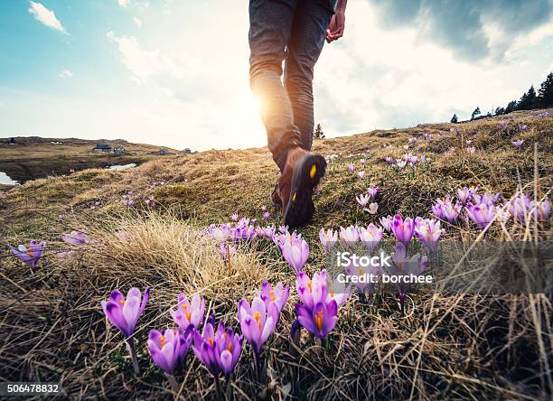 Spring Hiking Stock Photo - Download Image Now - Springtime, Hiking, Walking