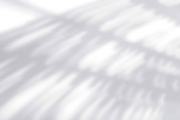 istock Light and shadow shining on the white background. 506479000