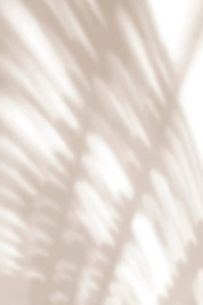 istock Light and shadow shining on the white background. 506479840