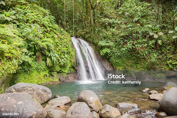 Beautiful Waterfall In A Rainforest Cascades Aux Ecrevisses Guadeloupe Stock Photo - Download Image Now