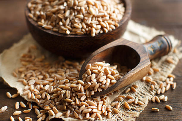 conjunto mano humana explican en un tazón con una cuchara de madera - wheat whole wheat close up cereal plant fotografías e imágenes de stock