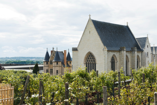 Angers, France - July 28, 2014: vineyard in Angers Castle, Loire valley, France. Chateau d'Angers was founded in the 9th century by Counts of Anjou, was expanded to current size in 13th century