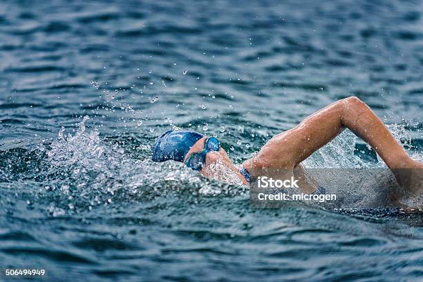 Open Water Swimming Stock Photo - Download Image Now - Triathlon, Swimming, Open Water Swimming