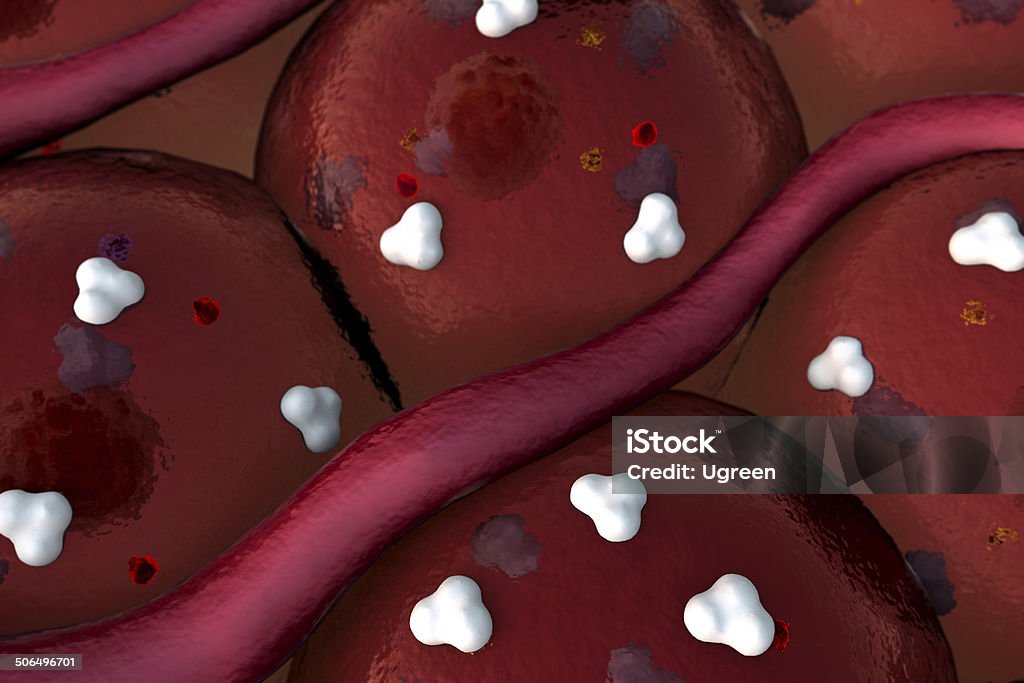 receptor, protein field of cells, Capillary, vein, receptors on the cells surface Antibody Stock Photo