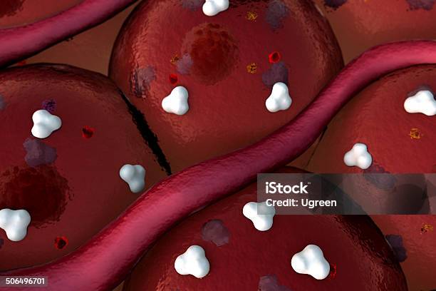 Receptor Protein Stock Photo - Download Image Now - Antibody, Artery, Biological Cell