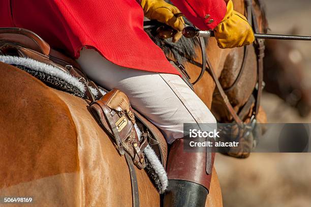 Rider With Whip Stock Photo - Download Image Now - Fox Hunting, Breeches, Domestic Animals