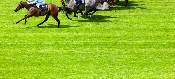 istock Race to the Finish 506499275
