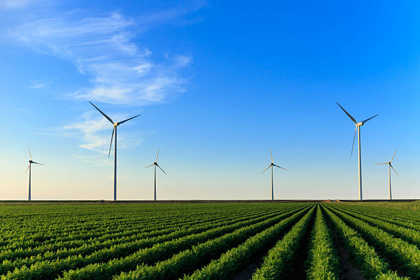 istock Windmills at field of crops 506499363