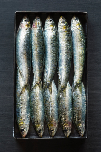 10 fresh sardines in a metal tin.