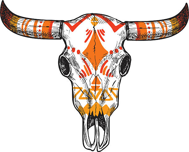 нарисованный от руки векторный рисунок с черепами на животных. винтажный - animal skull cow animal skeleton animal stock illustrations