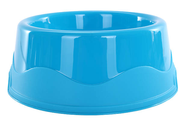 istock Blue dog bowl for pets 506503634