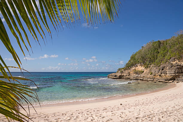 istock Tropical beach with coconut palm at summer time 506504122