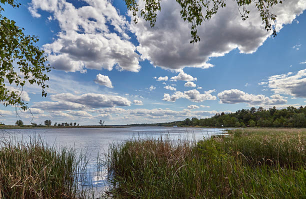 istock Clouds over water, the grassy coast 506505462