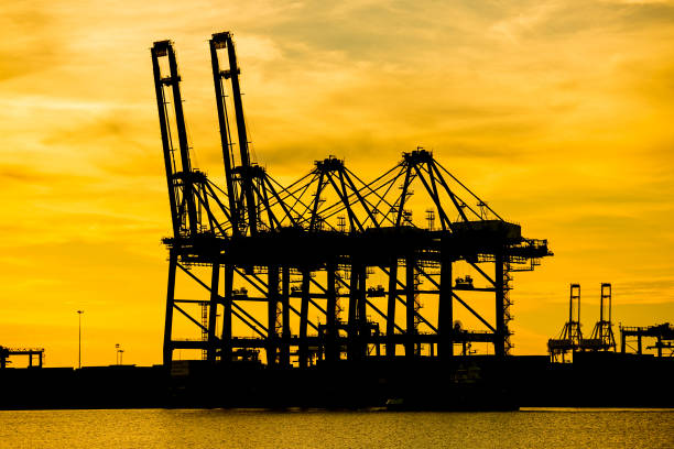 istock Port container terminal for transporatation 506506858