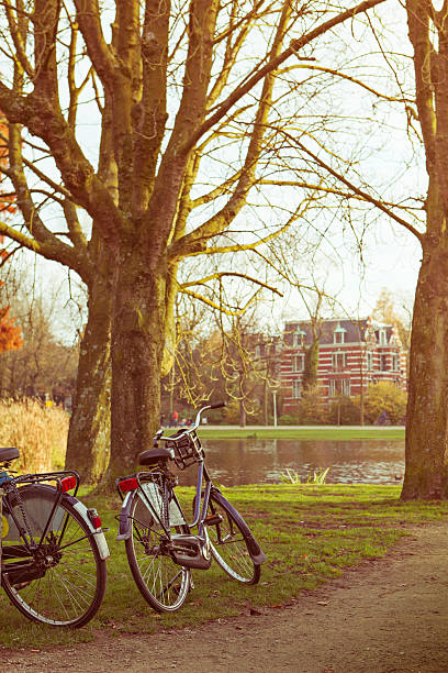 istock bicycles in the park 506507878