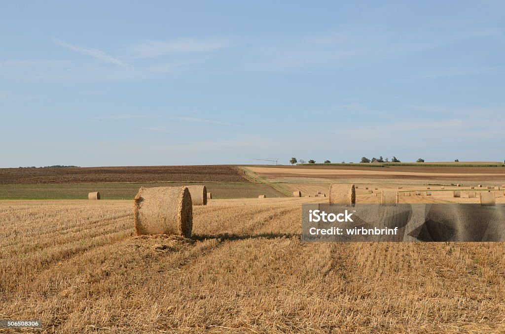 Strohballen - Foto de stock de Agricultura royalty-free