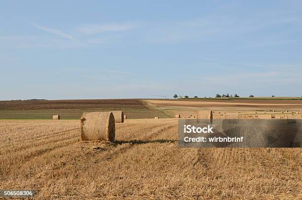 Foto de Strohballen e mais fotos de stock de Agricultura - Agricultura, Colher - Atividade agrícola, Exterior