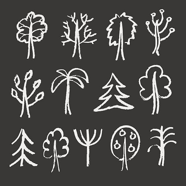 illustrazioni stock, clip art, cartoni animati e icone di tendenza di moda gesso disegni di alberi. - tree silhouette elm tree vector