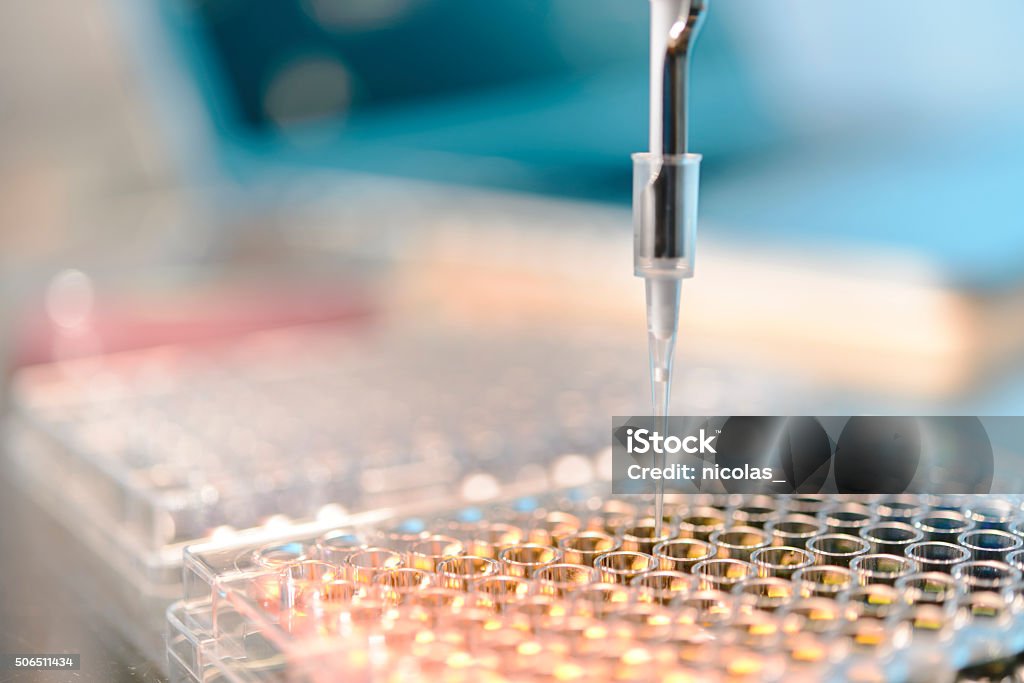 Laboratory A pipette and microwell plates Biotechnology Stock Photo