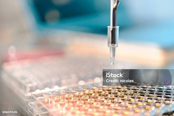 Laboratory Stock Photo - Download Image Now - Biotechnology, Scientific Experiment, Laboratory