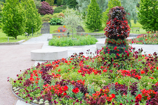 This photo shows some of the beautiful red flowerbeds in Gothenburg Botanical garden in Sweden. This is a public park in central Gothenburg with only a volontary admission fee. Date of photo 2015-06-28.