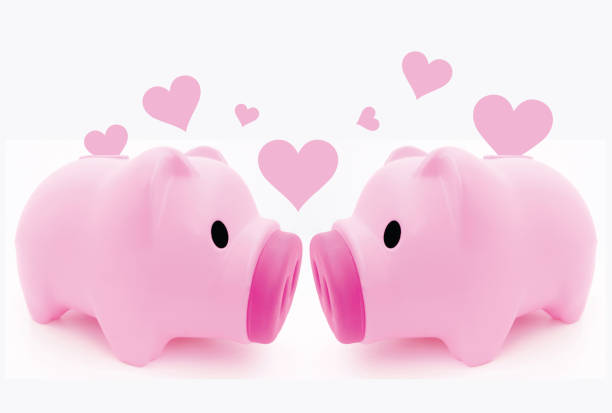istock Piggy in love 506512712