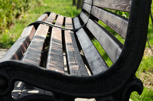istock Free bench in a park on the waterfront 506514460