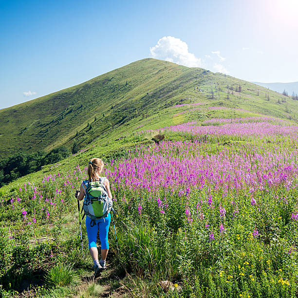 Young woman hiking in the mountains stock photo