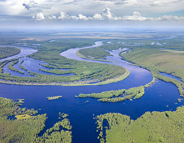 istock Forest river in flooding, top view 506514788