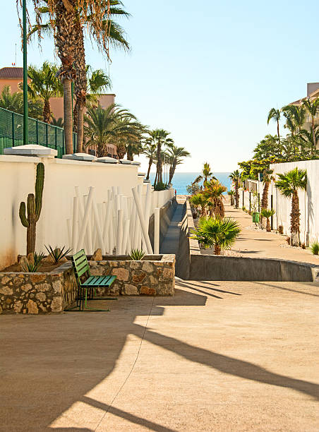 istock Public beach access in San Jose Del Cabo- near condos 506519230